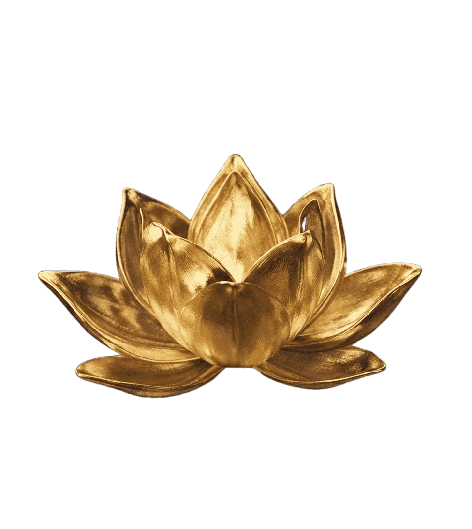 Lotus doré — notre approche