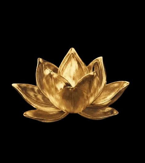 Lotus doré — notre approche